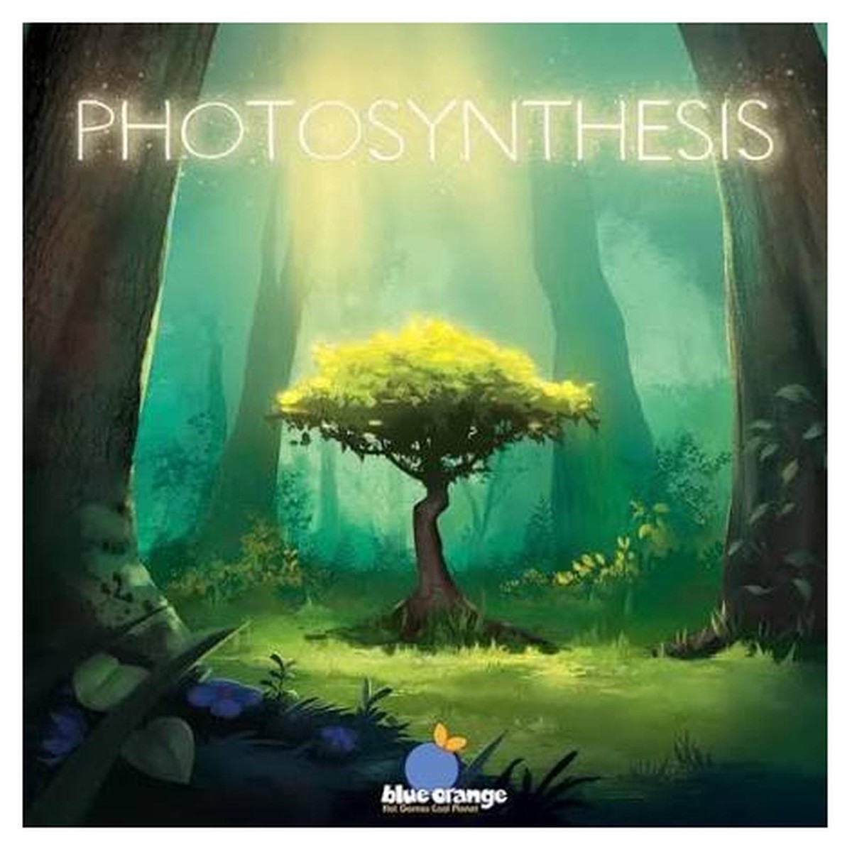 Blue Orange Photosynthesis The Board Game