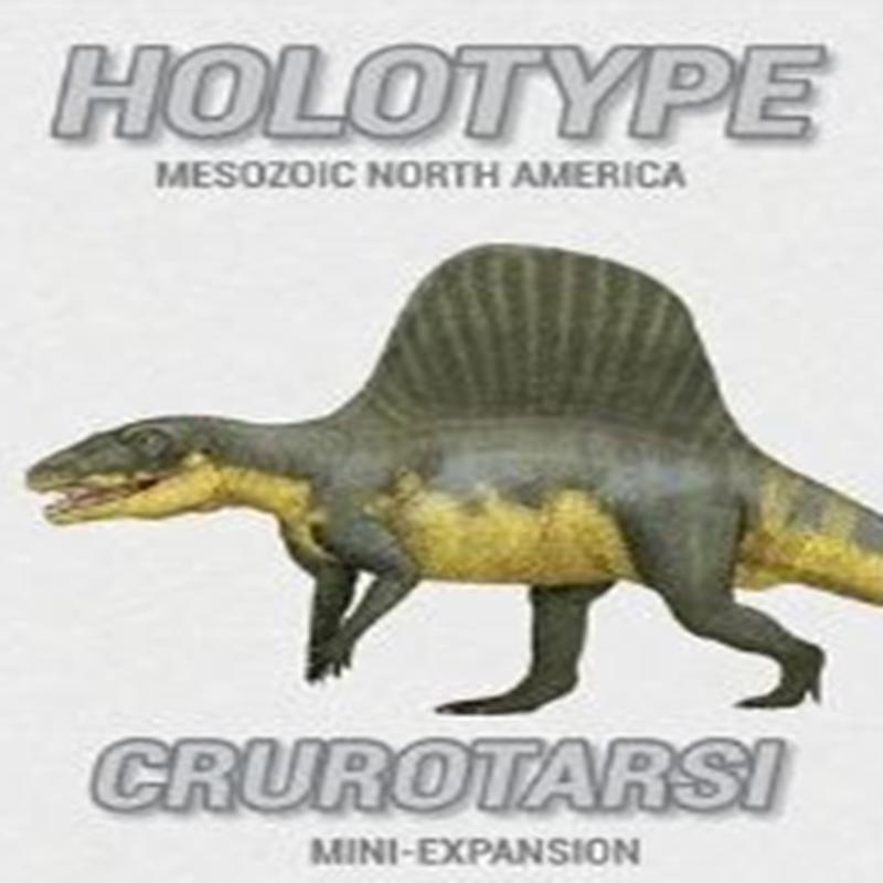 Holotype: Crurotarsi Mini-Expansion