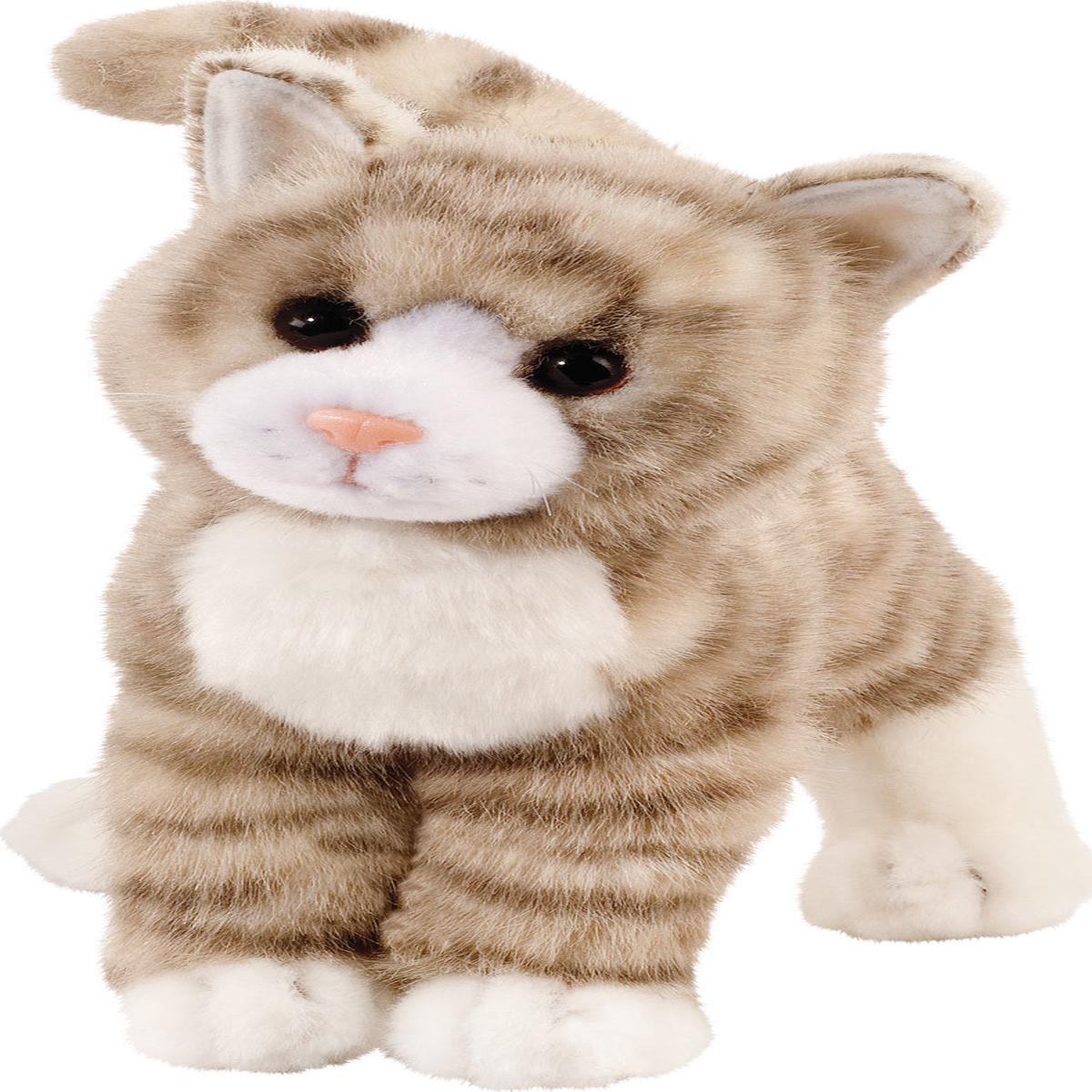 Zipper Grey Tabby 10